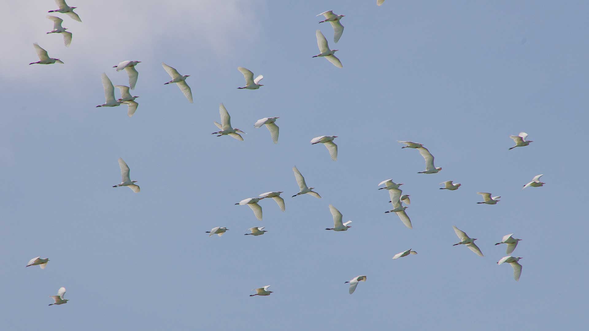 The Lakes at Cypress Hill Houston's Finest Residential Waterski Community